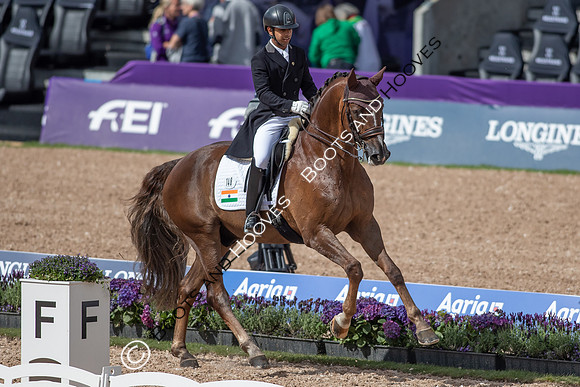 The FEI World Championships Herning 2022