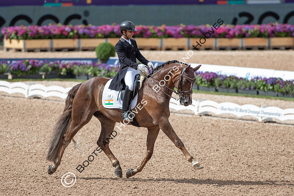 The FEI World Championships Herning 2022