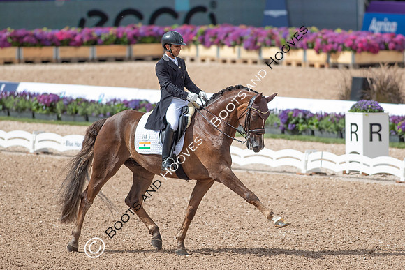 The FEI World Championships Herning 2022