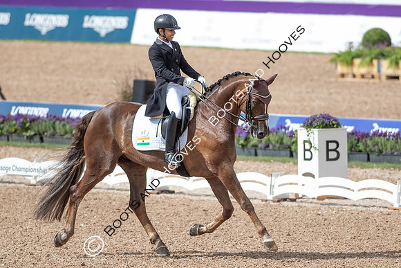 The FEI World Championships Herning 2022