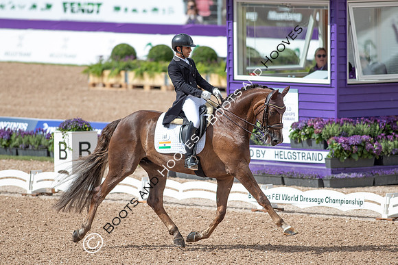 The FEI World Championships Herning 2022