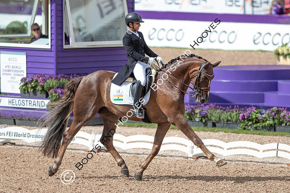 The FEI World Championships Herning 2022