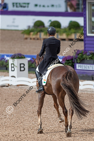 The FEI World Championships Herning 2022