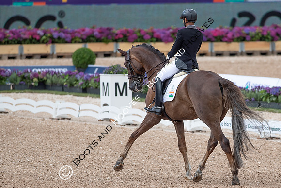 The FEI World Championships Herning 2022