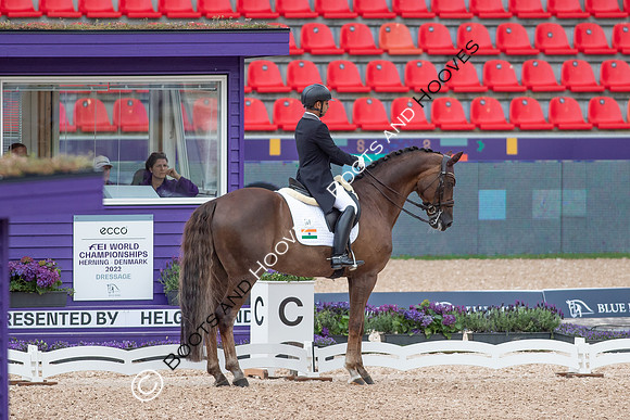 The FEI World Championships Herning 2022