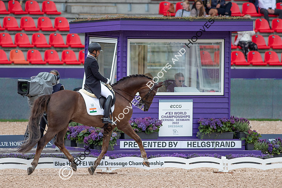 The FEI World Championships Herning 2022