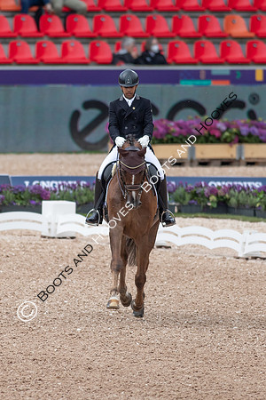 The FEI World Championships Herning 2022