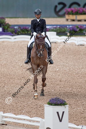 The FEI World Championships Herning 2022