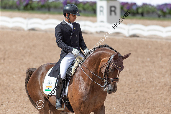 The FEI World Championships Herning 2022