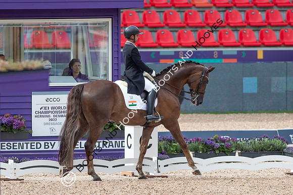The FEI World Championships Herning 2022