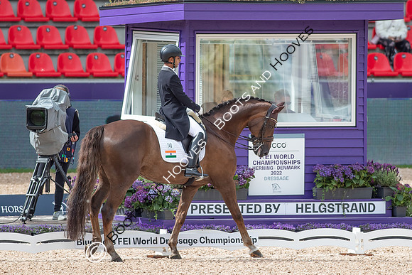 The FEI World Championships Herning 2022
