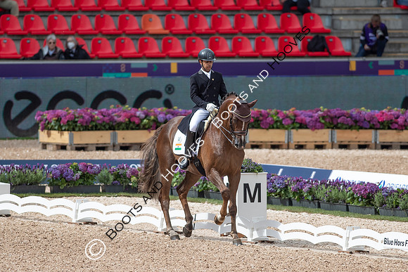 The FEI World Championships Herning 2022