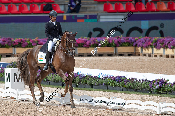 The FEI World Championships Herning 2022