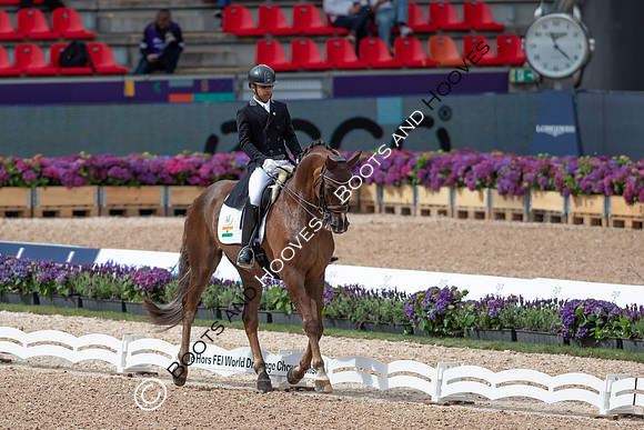 The FEI World Championships Herning 2022