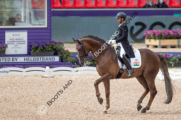 The FEI World Championships Herning 2022
