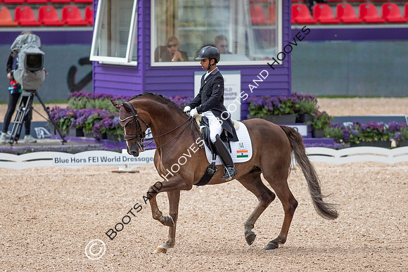 The FEI World Championships Herning 2022
