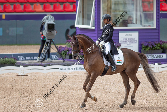The FEI World Championships Herning 2022