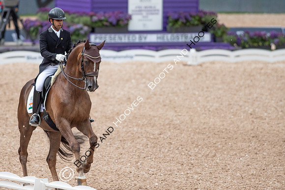 The FEI World Championships Herning 2022