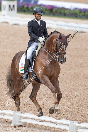 The FEI World Championships Herning 2022