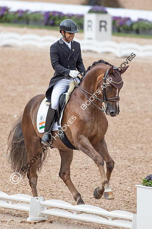 The FEI World Championships Herning 2022
