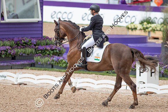 The FEI World Championships Herning 2022