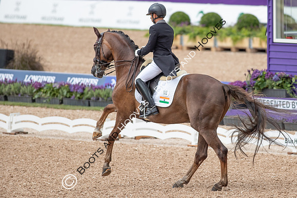 The FEI World Championships Herning 2022