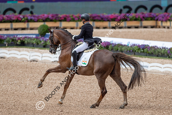 The FEI World Championships Herning 2022
