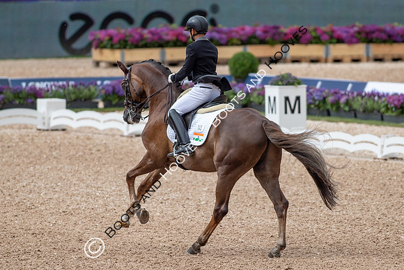 The FEI World Championships Herning 2022