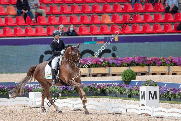 The FEI World Championships Herning 2022