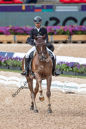 The FEI World Championships Herning 2022