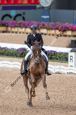 The FEI World Championships Herning 2022