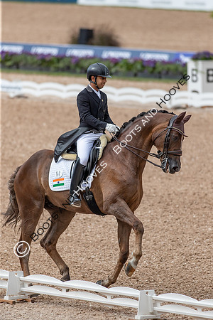 The FEI World Championships Herning 2022