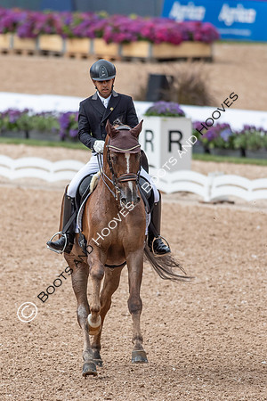 The FEI World Championships Herning 2022