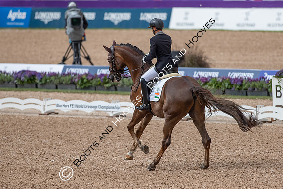 The FEI World Championships Herning 2022