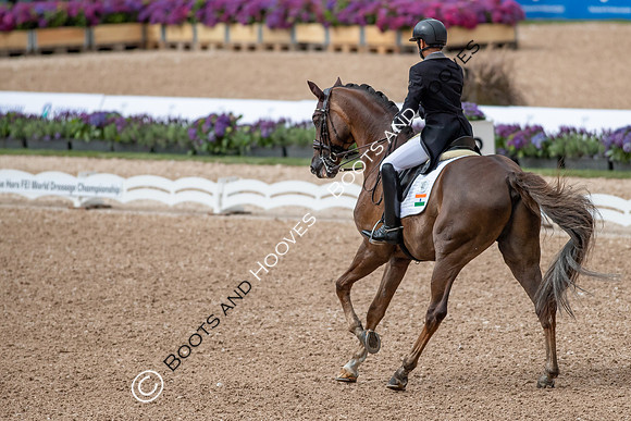 The FEI World Championships Herning 2022