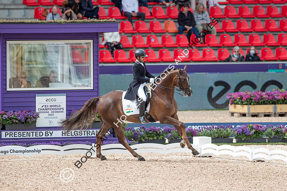 The FEI World Championships Herning 2022