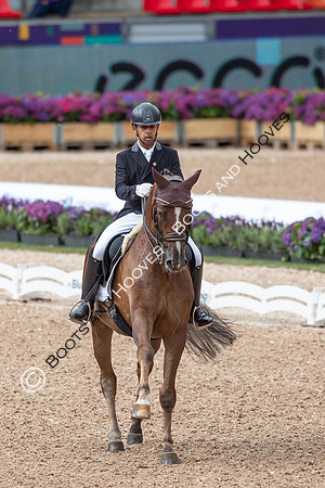 The FEI World Championships Herning 2022