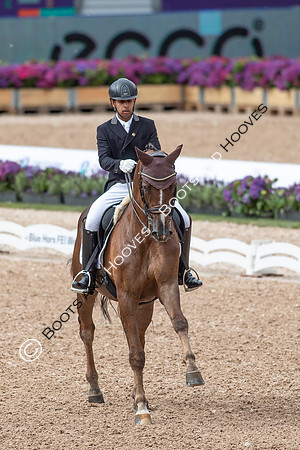 The FEI World Championships Herning 2022