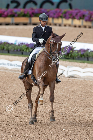The FEI World Championships Herning 2022