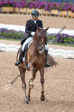 The FEI World Championships Herning 2022