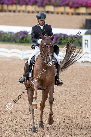 The FEI World Championships Herning 2022