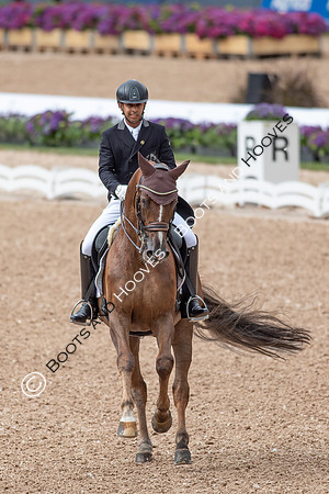 The FEI World Championships Herning 2022