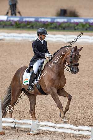 The FEI World Championships Herning 2022