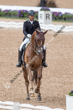 The FEI World Championships Herning 2022