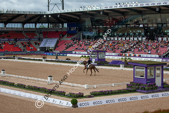 The FEI World Championships Herning 2022