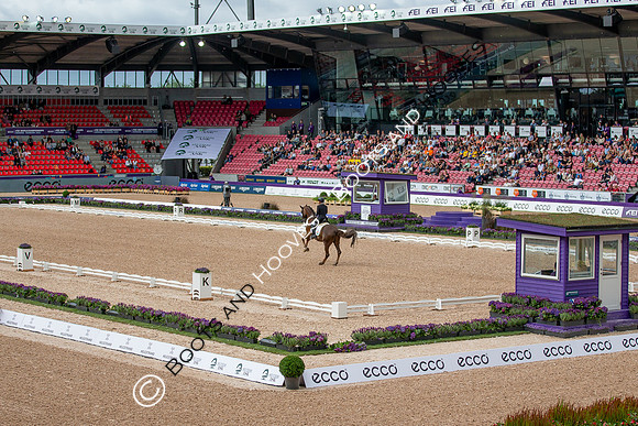 The FEI World Championships Herning 2022