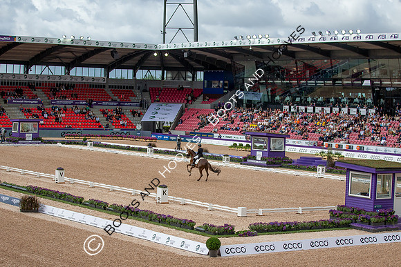 The FEI World Championships Herning 2022