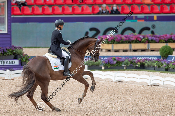 The FEI World Championships Herning 2022
