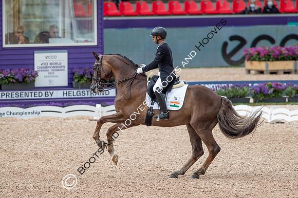 The FEI World Championships Herning 2022
