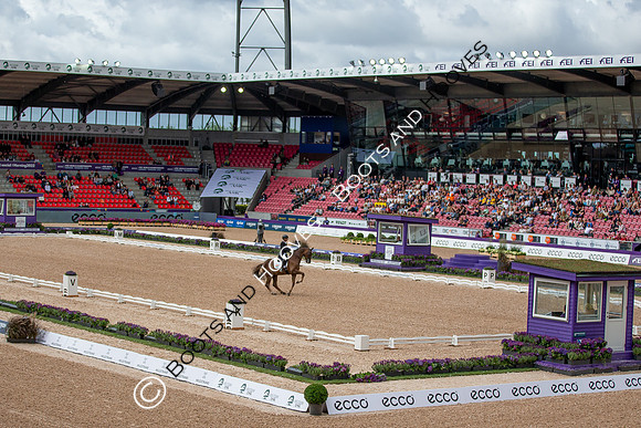 The FEI World Championships Herning 2022